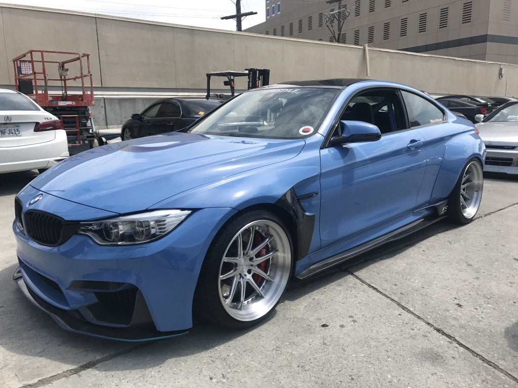 PSM M4 Widebody Roll cage