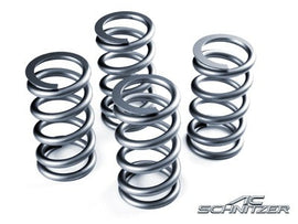 AC Schnitzer Lowering Springs - BMW F10 M5 - Suspension - Studio RSR